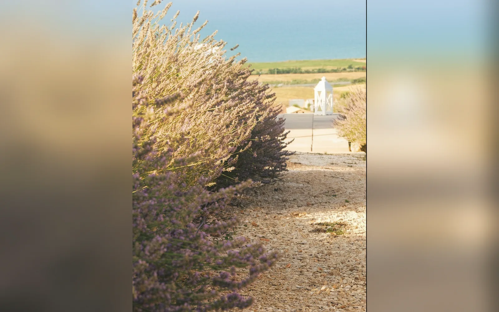 Tenuta Cimini Silvia, Montenero di Bisaccia (Molise) — galleria foto 25